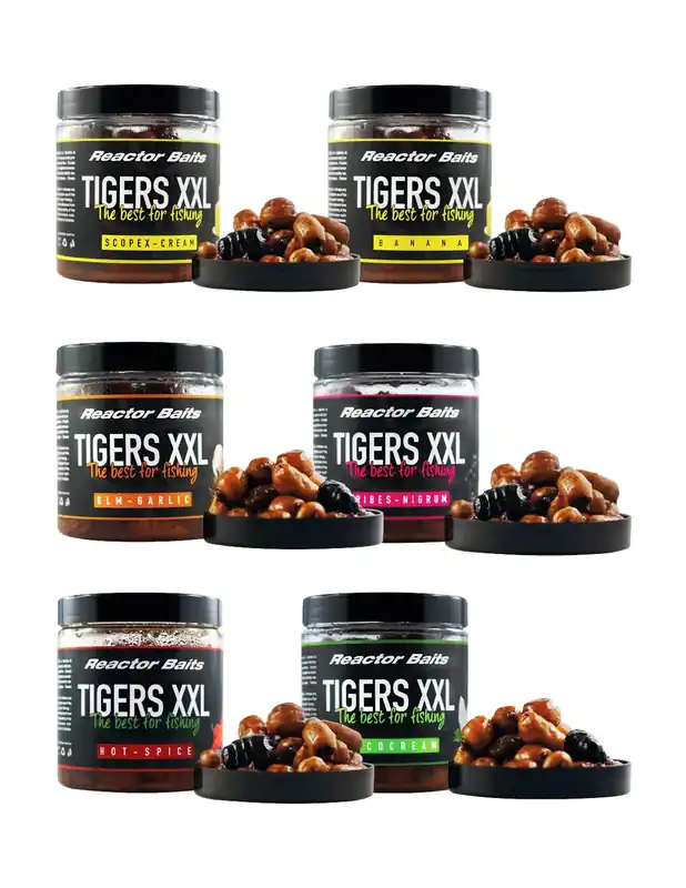 Réacteur Appât Maver Tigers Nut XXL 150 gr Vente Flash