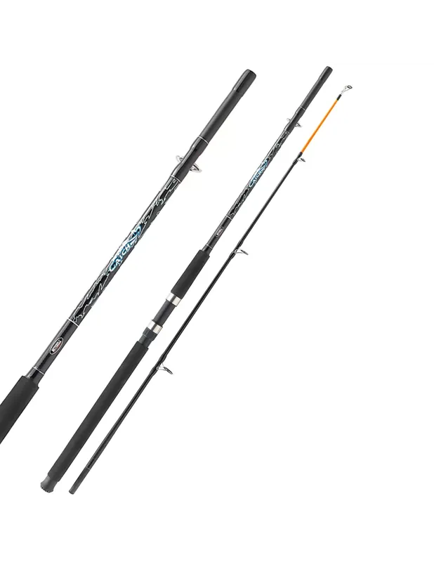 Super Prix Mitchell Catch Fishing Rod 2 sections Puissant 100 200 gr 2.10 mt