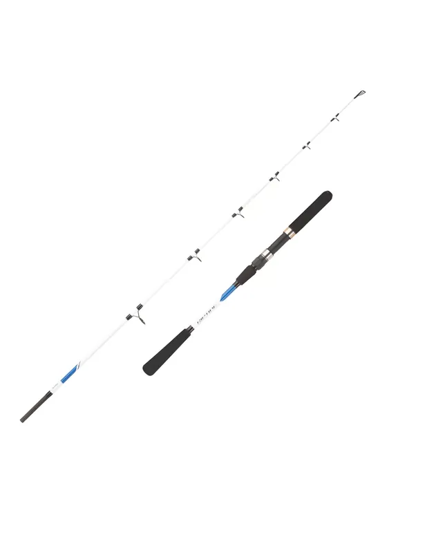 Mitchell Riptide Spinning Pêche en mer CAnna 2 Sections Achetez Aujourd’hui