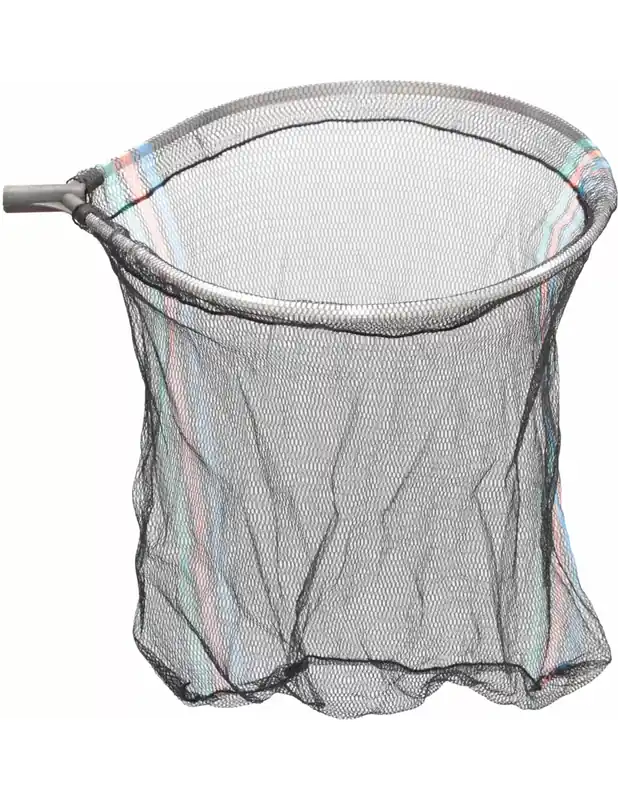 Expédition Rapide Kolpo Tête de Guadino Robusta Rotonda 60 cm