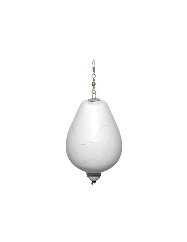 Sele flottante a plongé Muggine Pêche de Superfice Retour Gratuit