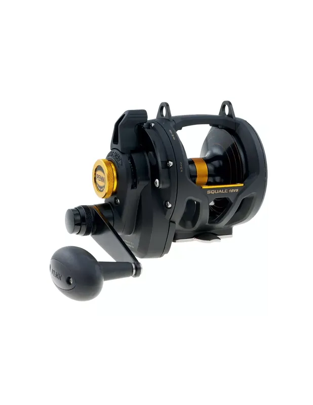 Commande En Gros Penn Squall Lever Drag 2 Speed Mulinel Traine Embrayage à Levier