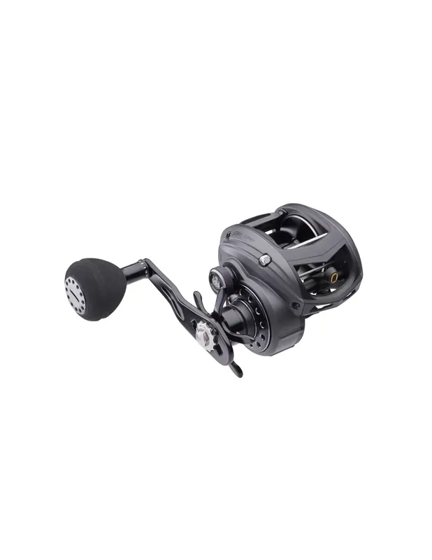 Prix Cassé Abu Garcia Revo Bull Beast Low Profile Mulinello par Pêche Casting