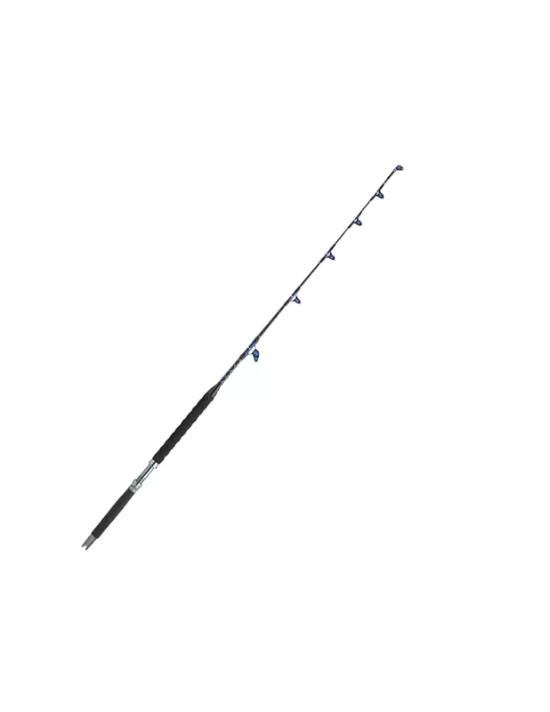 Petit Prix Sugoi Altruria Fishing Rod Big Game 50-80 lb 1,70 mt