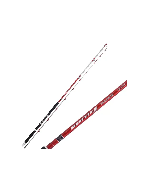 Colmic Dentice CAnna da Pesca da Barca 70 350 gr Acheter En Ligne