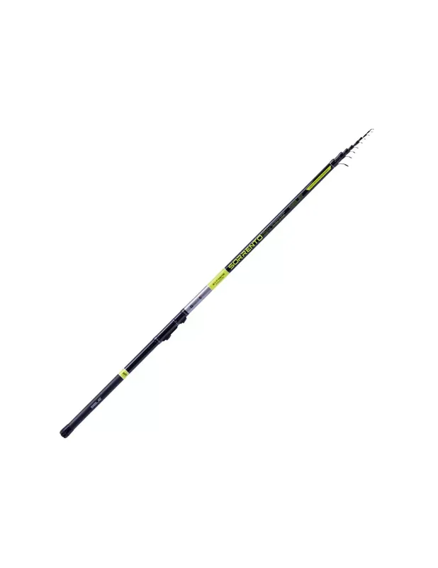 Seulement Aujourd’hui Sele Sorrento Bolognese Cannes à pêche en carbone 30T