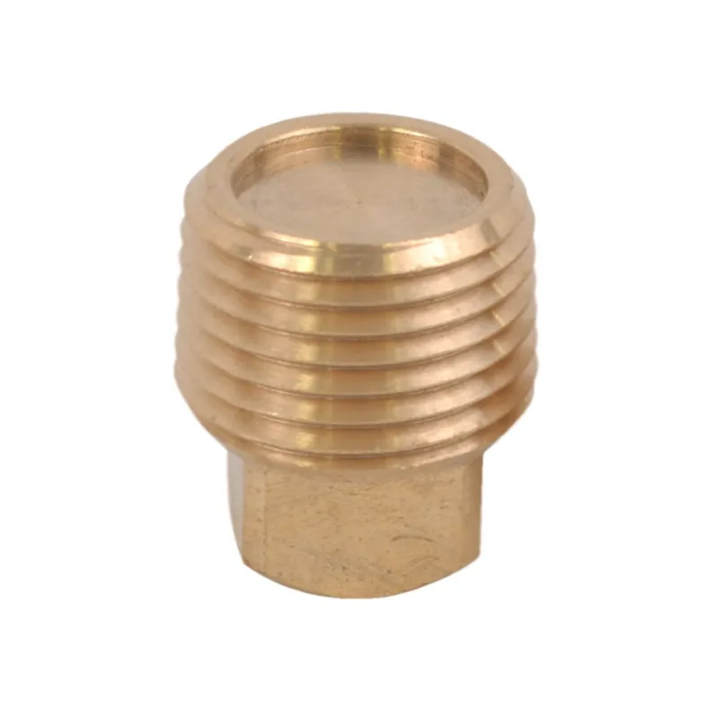 Spina di ricambio – venduta in coppia Offre Exclusive