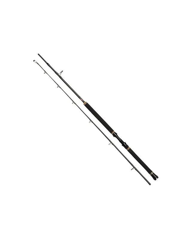 Penn Regiment II Boat Boat Fishing Rods Prix Promo