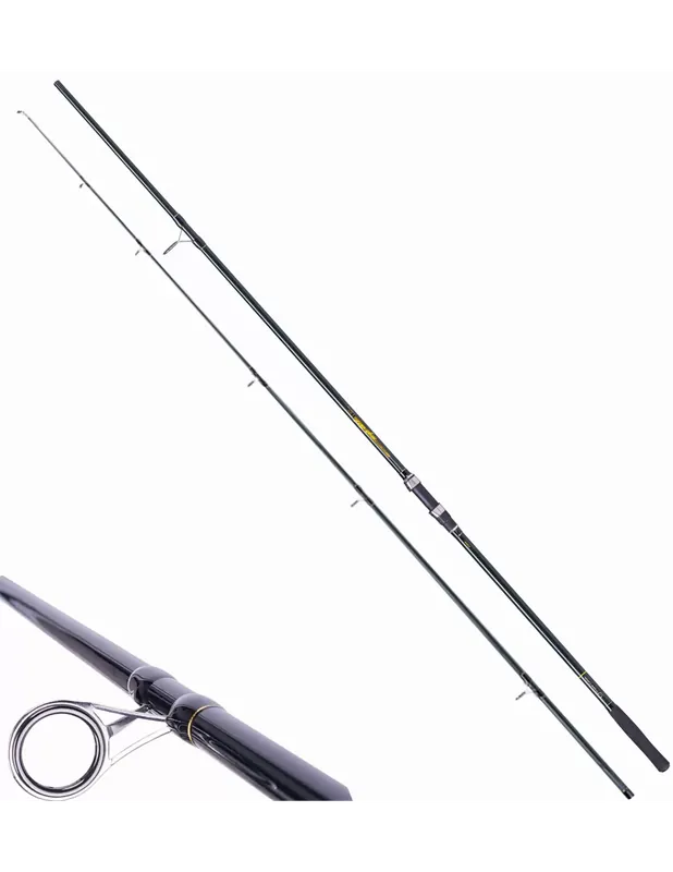 Remise Trois Carpes De Carp De Carp Carpe Carpefishing Carbon