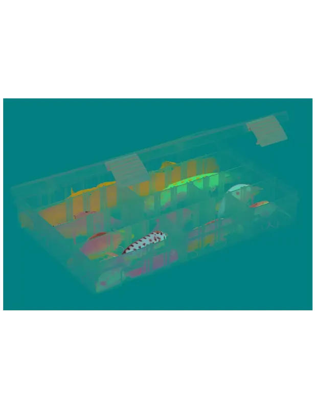 Plano 2-3620 Boîte Box 24 Compartiments modulaires Satisfait Ou Remboursé