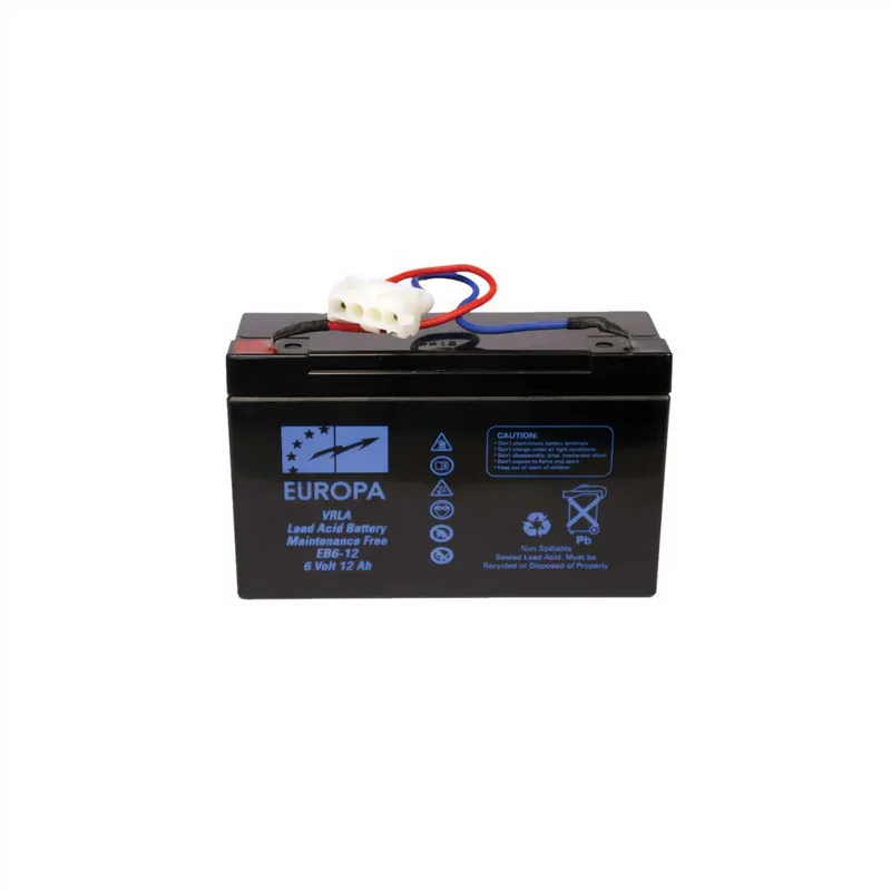 Batterie Plomb 6V / 10-12A Petit Prix